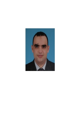 أ.د/محمود سليمان أحمد هلال - رئيس قسم الهندسة الكهربائية